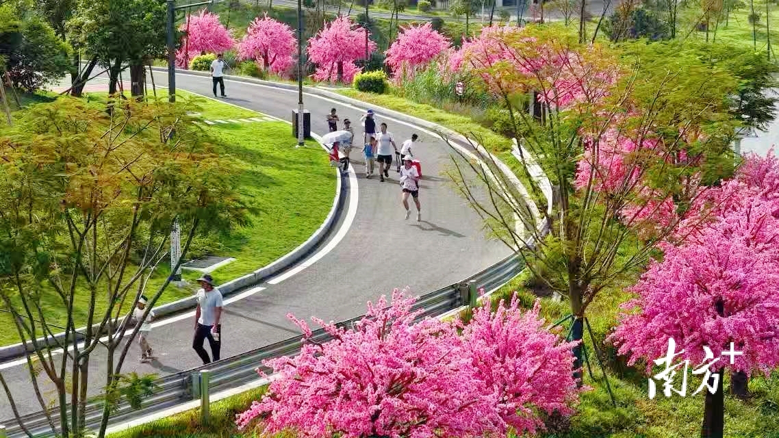 img, yid, 无线电测向